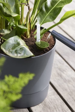 Bloempot Elho Greensense Aqua Care Rond - D35 X H34cm - Houtskoolgrijs 11 Bloempot Elho Greensense Aqua Care Rond - D35 X H34cm - Houtskoolgrijs -Kamerplanten Winkel bloempot elho greensense aqua care rond d35 x h34cm houtskoolgrijs bloempot 6 1