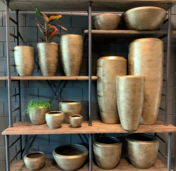 Plantenschaal Kos - D45 X H20cm - Goud -Kamerplanten Winkel bloempot kos serie goud bloempot 3 1 2