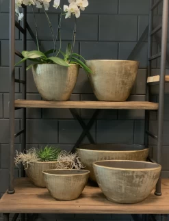 Bloempot Kos Ovaal - L49 X B21 X H37cm - Goud -Kamerplanten Winkel bloempot kos serie ovaal goud bloempot 3 1