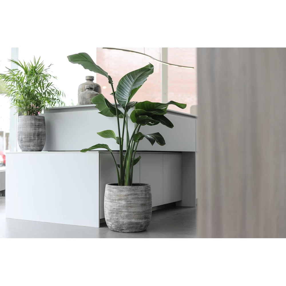 Bloempot Miami - D39 X H36cm - Zwart Cement 2 Bloempot Miami - D39 X H36cm - Zwart Cement - Afbeelding 2