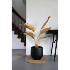 Bloempot Petra - D23 X H20cm - Mat Zwart -Kamerplanten Winkel bloempot petra mat zwart 3