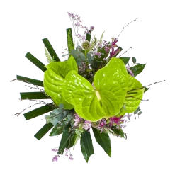 Kamerplanten Winkel 19 Kamerplanten Winkel -Kamerplanten Winkel boeket anthurium boeketten 2 1