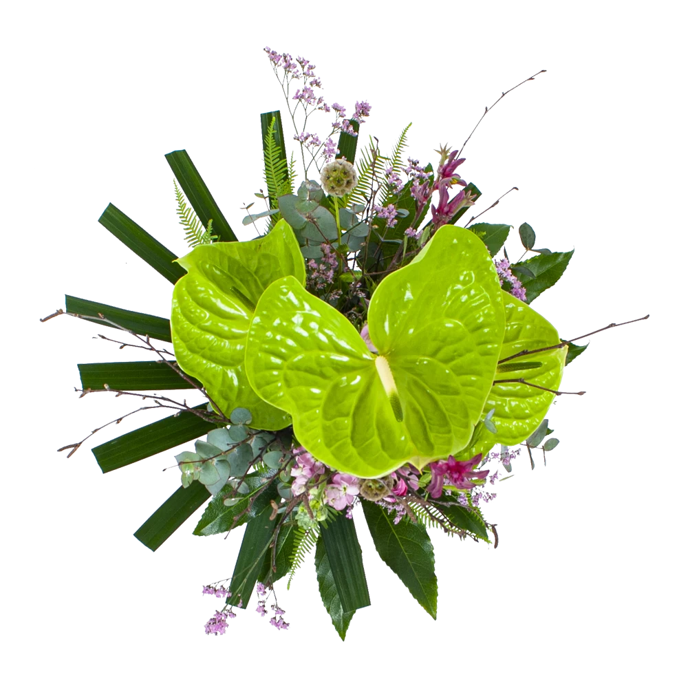 Boeket Anthurium Groot 2 Boeket Anthurium Groot - Afbeelding 2