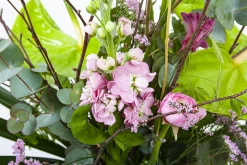 Boeket Anthurium Klein -Kamerplanten Winkel boeket anthurium boeketten 3