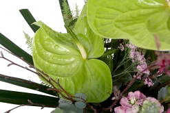 Boeket Anthurium Groot 9 Boeket Anthurium Groot -Kamerplanten Winkel boeket anthurium boeketten 4 1