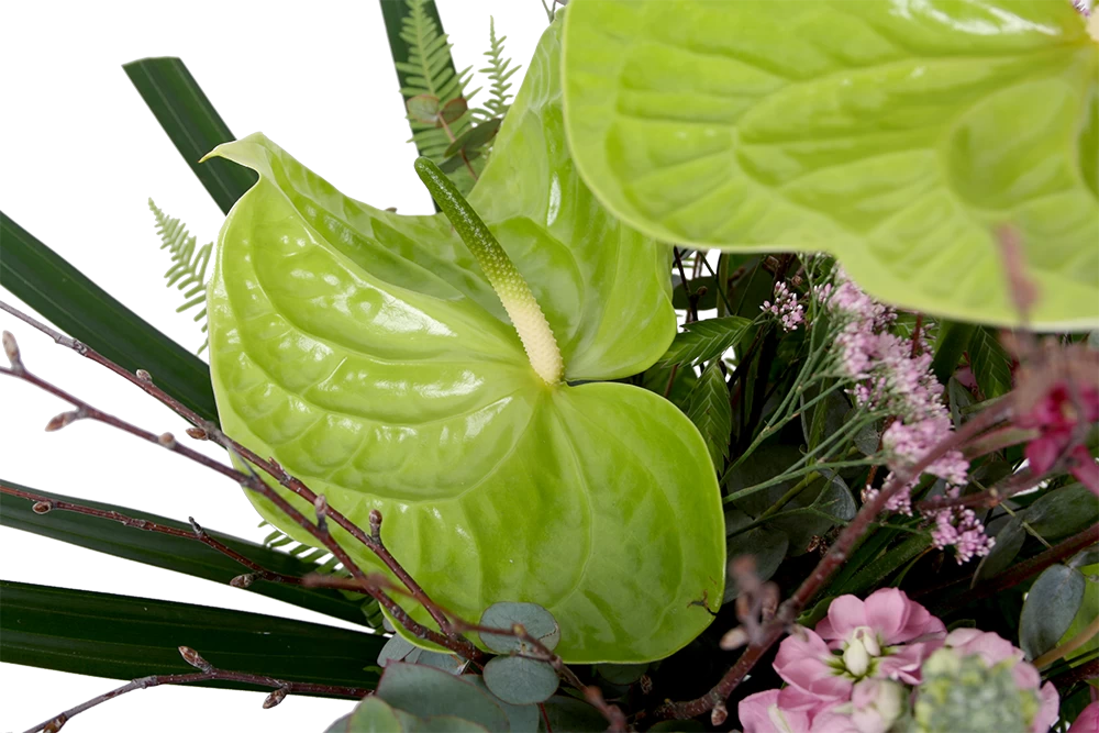 Boeket Anthurium Groot 4 Boeket Anthurium Groot - Afbeelding 4