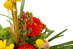 Boeket Beatrix Klein -Kamerplanten Winkel boeket beatrix boeketten 3 3 1