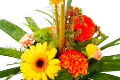 Boeket Beatrix Klein -Kamerplanten Winkel boeket beatrix boeketten 4 3 1