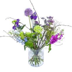 Boeket Biezen Klein 7 Boeket Biezen Klein -Kamerplanten Winkel boeket biezen boeketten 1 4