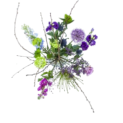 Uitgelichte producten 1 Boeket Biezen Middel