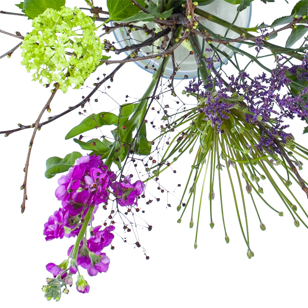 Boeket Biezen Klein 2 Boeket Biezen Klein - Afbeelding 2