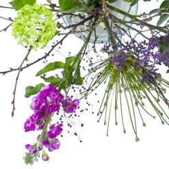 Uitgelichte producten -Kamerplanten Winkel boeket biezen boeketten 3 2
