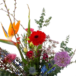 Kamerplanten Winkel 5 Kamerplanten Winkel -Kamerplanten Winkel boeket deluxe liefs mij boeketten 2 1