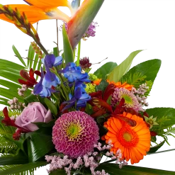 Kamerplanten Winkel 13 Kamerplanten Winkel -Kamerplanten Winkel boeket deluxe special voor jou boeketten 2 1