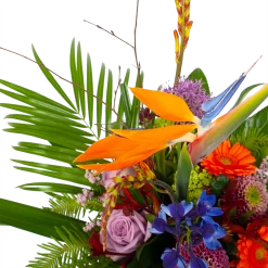 Boeket Deluxe Special Voor Jou Groot -Kamerplanten Winkel boeket deluxe special voor jou boeketten 3