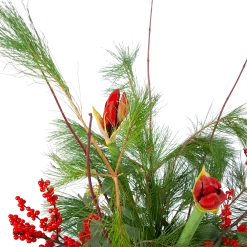 Boeket Deluxe Winter Groot -Kamerplanten Winkel boeket deluxe winter boeketten 3 1 1