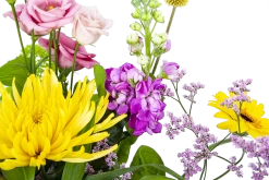 Boeket Eline Groot -Kamerplanten Winkel boeket eline boeketten 3