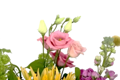 Boeket Eline Groot -Kamerplanten Winkel boeket eline boeketten 4