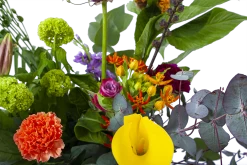 Boeket Judith Klein -Kamerplanten Winkel boeket judith boeketten 3