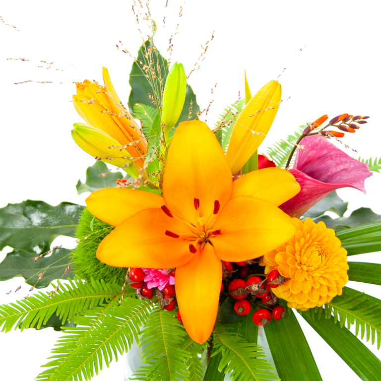 Kamerplanten Winkel 23 Kamerplanten Winkel -Kamerplanten Winkel boeket klassiek najaar groot boeketten 3 1 768x768 1