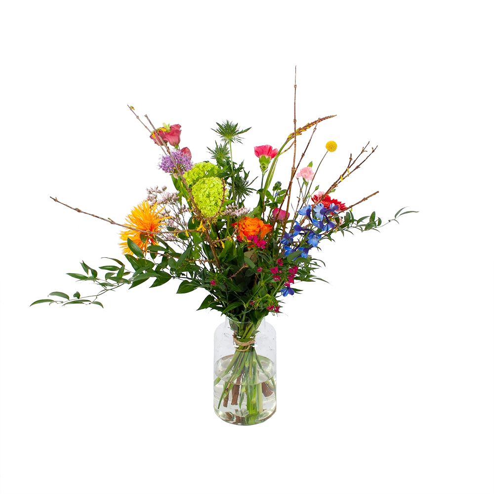 Boeket Kleurrijke Verrassing Groot 1 Boeket Kleurrijke Verrassing Groot