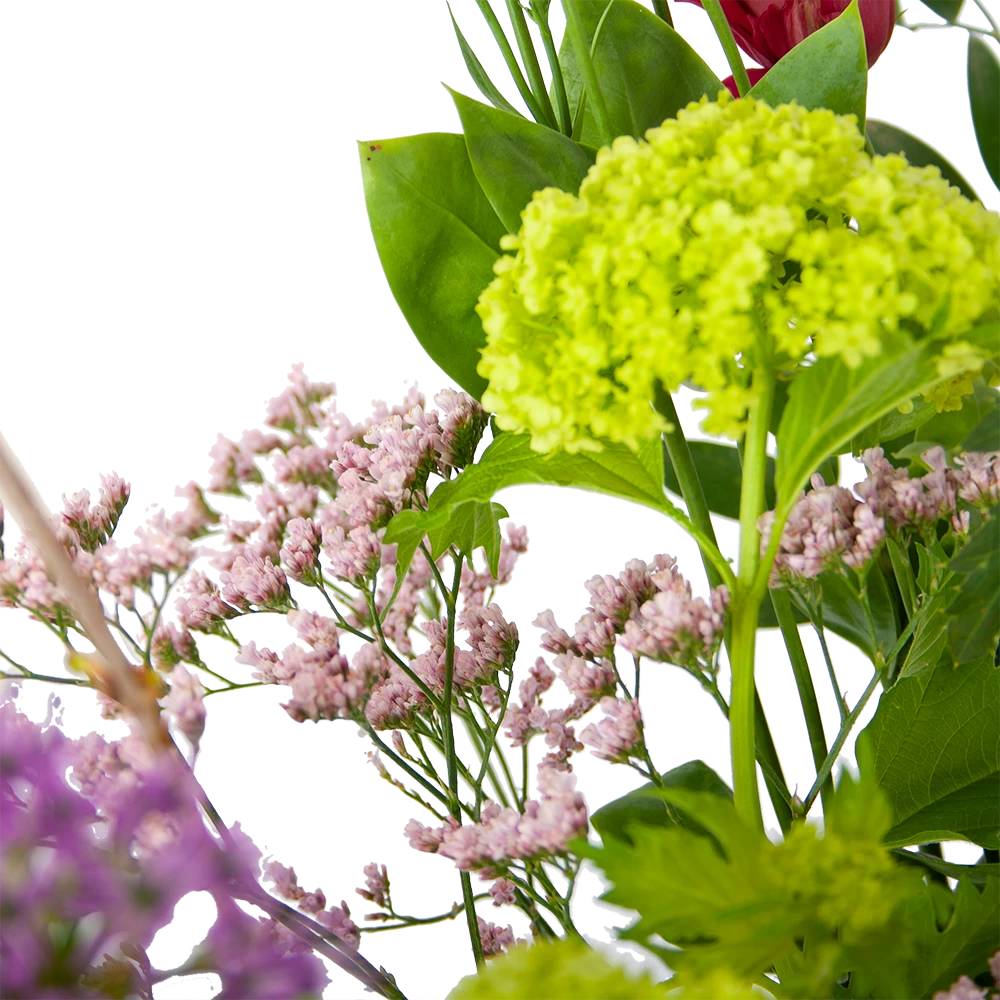 Boeket Kleurrijke Verrassing Groot 2 Boeket Kleurrijke Verrassing Groot - Afbeelding 2