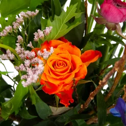 Boeket Kleurrijke Verrassing Klein -Kamerplanten Winkel boeket kleurrijke verrassing boeketten 3 1