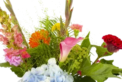 Boeket Lach Klein -Kamerplanten Winkel boeket lach boeketten 4 1