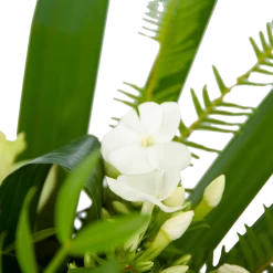 Boeket Liefdevolle Winter Klein -Kamerplanten Winkel boeket liefdevolle winter boeketten 3