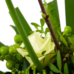 Boeket Liefdevolle Winter Klein -Kamerplanten Winkel boeket liefdevolle winter boeketten 4