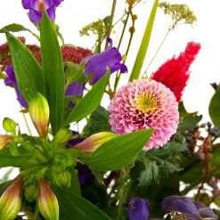 Boeket Paarse Passie Groot 9 Boeket Paarse Passie Groot -Kamerplanten Winkel boeket paarse passie groot boeketten 4