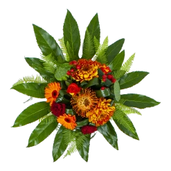 Kamerplanten Winkel 9 Kamerplanten Winkel -Kamerplanten Winkel boeket piet boeketten 2