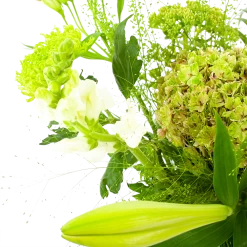 Boeket Puur Natuur Klein -Kamerplanten Winkel boeket puur natuur boeketten 3 1