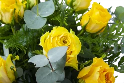 Boeket Rosa Geel Middel -Kamerplanten Winkel boeket rosa geel boeketten 3