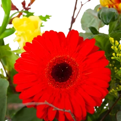 Boeket Speciale Verrassing Middel 7 Boeket Speciale Verrassing Middel -Kamerplanten Winkel boeket speciale verrassing boeketten 3