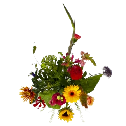 Kamerplanten Winkel 17 Kamerplanten Winkel -Kamerplanten Winkel boeket vlinder boeketten 2 3