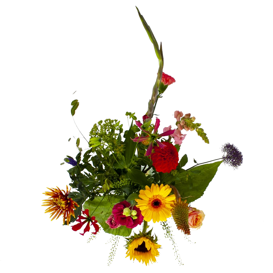 Boeket Vlinder Groot 2 Boeket Vlinder Groot - Afbeelding 2