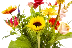 Boeket Vlinder Groot 8 Boeket Vlinder Groot -Kamerplanten Winkel boeket vlinder boeketten 3 3