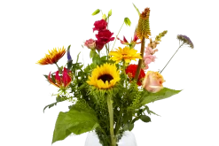 Boeket Vlinder Groot 9 Boeket Vlinder Groot -Kamerplanten Winkel boeket vlinder boeketten 4 3