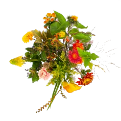 Kamerplanten Winkel 11 Kamerplanten Winkel -Kamerplanten Winkel boeket vrolijk middel boeketten 2