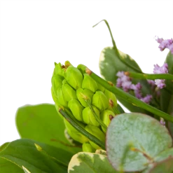 Boeket Vrolijk Seizoen Middel -Kamerplanten Winkel boeket vrolijk seizoen boeketten 3