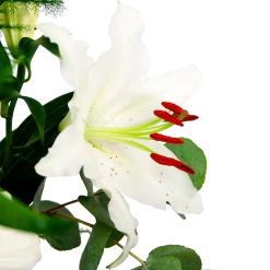 Boeket Witte Winter Middel -Kamerplanten Winkel boeket witte winter boeketten 4 2