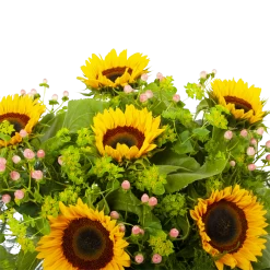 Boeket Zonnestraal Klein 8 Boeket Zonnestraal Klein -Kamerplanten Winkel boeket zonnestraal boeketten 3 3