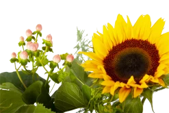 Boeket Zonnestraal Klein 9 Boeket Zonnestraal Klein -Kamerplanten Winkel boeket zonnestraal boeketten 4 3