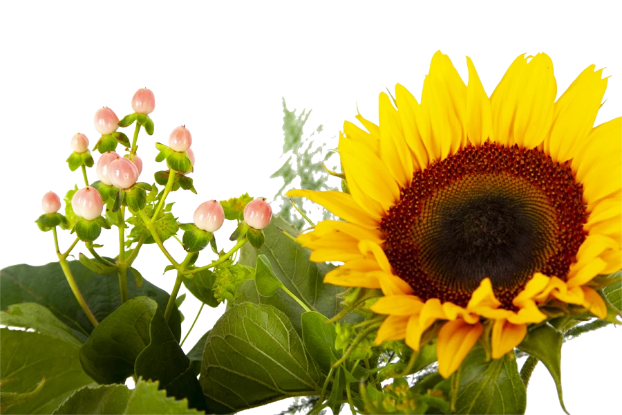 Boeket Zonnestraal Klein 4 Boeket Zonnestraal Klein - Afbeelding 4