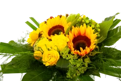 Boeket Zonnetje Groot -Kamerplanten Winkel boeket zonnetje boeketten 3 1
