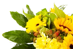 Boeket Zonnetje Groot -Kamerplanten Winkel boeket zonnetje boeketten 4 1