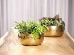 Plantenschaal Kody - D24 X H11cm - Goud -Kamerplanten Winkel bowl kody gold d24 h11 schaal 7 12