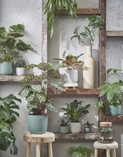 Bloempot Daan - D21.5 X H20.5cm - Wit -Kamerplanten Winkel daan pot rond wit h20 5xd21 5cm bloempot 7 7