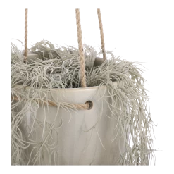 Hangpot Resa - D18,5 X H17cm - Lichtgrijs 7 Hangpot Resa - D18,5 X H17cm - Lichtgrijs -Kamerplanten Winkel hangpot resa d18 5 x h17cm lichtgrijs hangpot 3 1